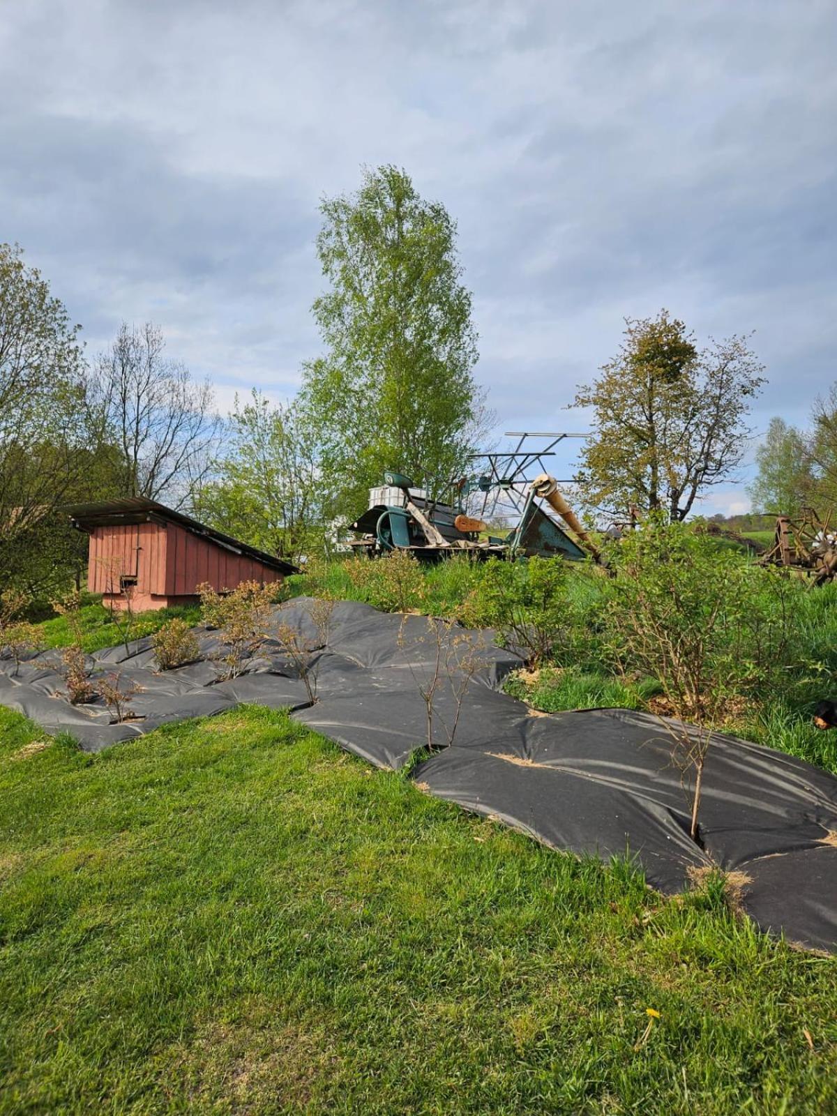 Domek Na Korcie Lubomierz (Lower Silesia) Exterior foto